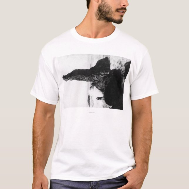 T-shirts A duquesa Rocha em Newport, Oregon (Frente)