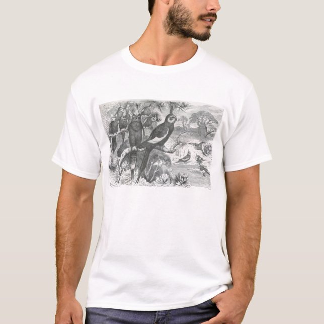 T-shirts A. E. Brehm - Cockatiels (Frente)