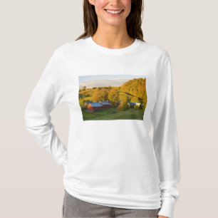 T-shirts A Fazenda Jenne em Woodstock, Vermont. Outono. 2