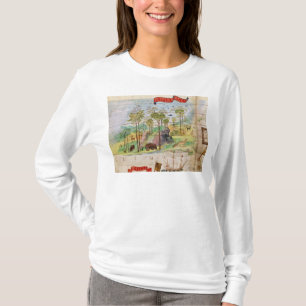 T-shirts A floresta canadense