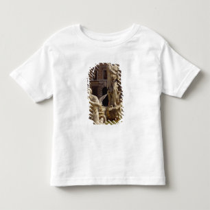 T-shirts A fonte de Moro