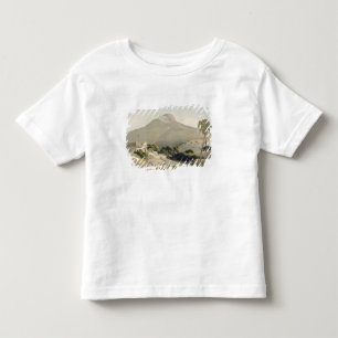 T-shirts A ideia da cabeça do leão, chapeia 28 'do Sc