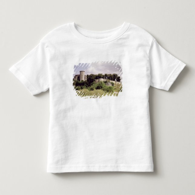 T-shirts A ideia da excursão de Talbot e mantem-se do (Frente)