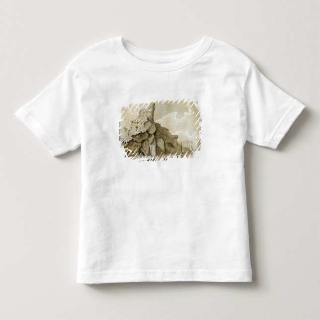 T-shirts A rocha de Quang-Yin (Frente)