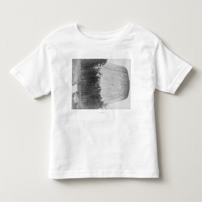 T-shirts A torre do diabo com as 4 pessoas no primeiro (Frente)