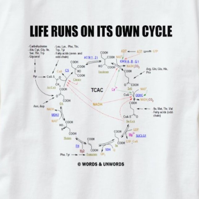 T-shirts A Vida Funciona No Seu Ciclo (Ciclo De Krebs - TCA (Krebs cycle (citric acid cycle) humor tee with the scientific saying "Life Runs On Its Own Cycle")