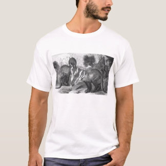 T-shirts Aardvark - Orycteropus depois