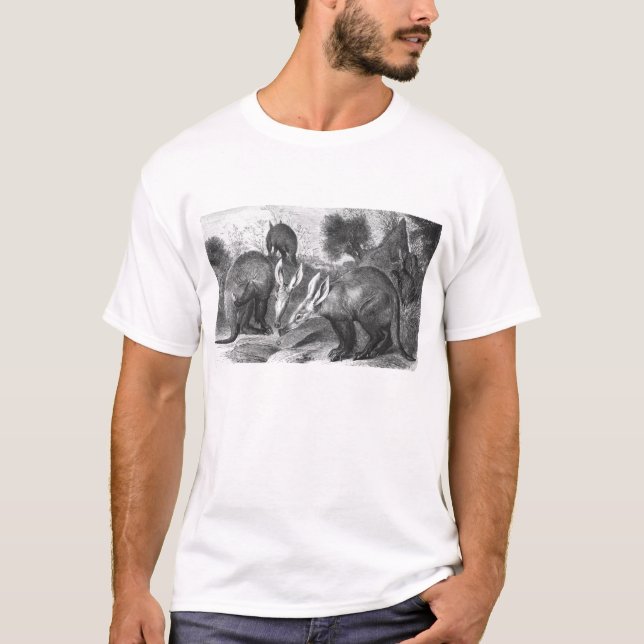T-shirts Aardvark - Orycteropus depois (Frente)