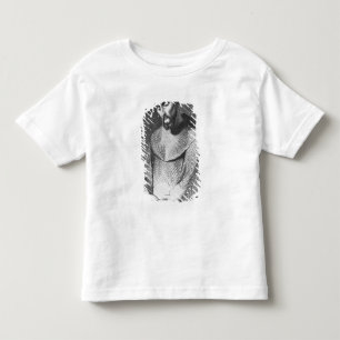 T-shirts Abelard como a monge no Santo-Gildas-de-Rhuys