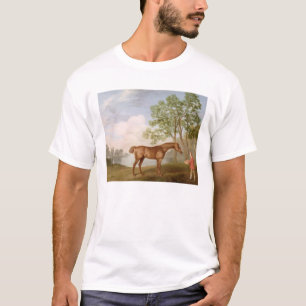 T-shirts Abóbora com um Estável-Rapaz, 1774 de George