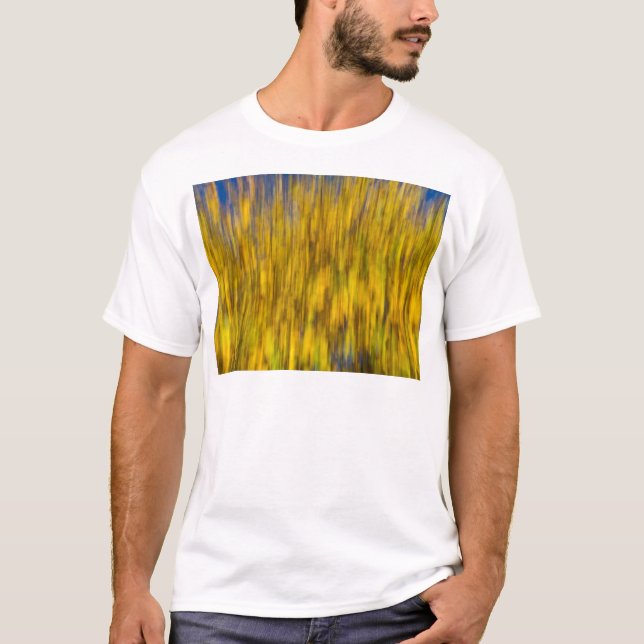 T-shirts Abstrato do outono (Frente)