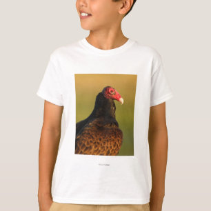 T-shirts Abutre