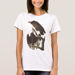 T-shirts Abutre de turquia de Audubon
