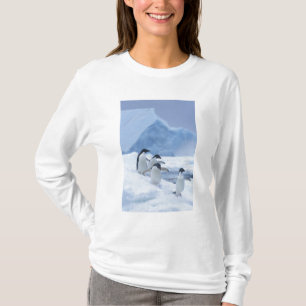 T-shirts Adelie Penguins (Pygoscelis adeliae) no gelo,