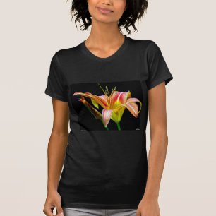 T-shirts Adorável Roupa e presentes de Tawny Daylily II