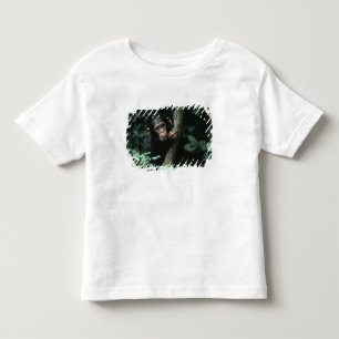 T-shirts África, África Oriental, Tanzânia, Parque Nacional