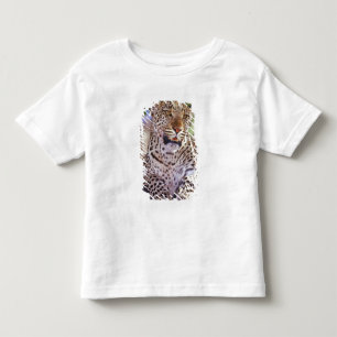 T-shirts África, Botsuana, Delta do Okvango, leopardo selva
