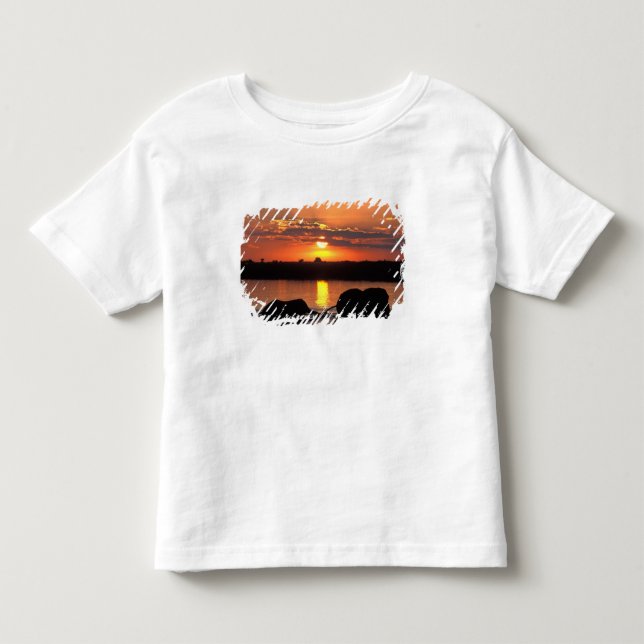 T-shirts África, Botsuana, Parque Nacional Chobe, Manada (Frente)