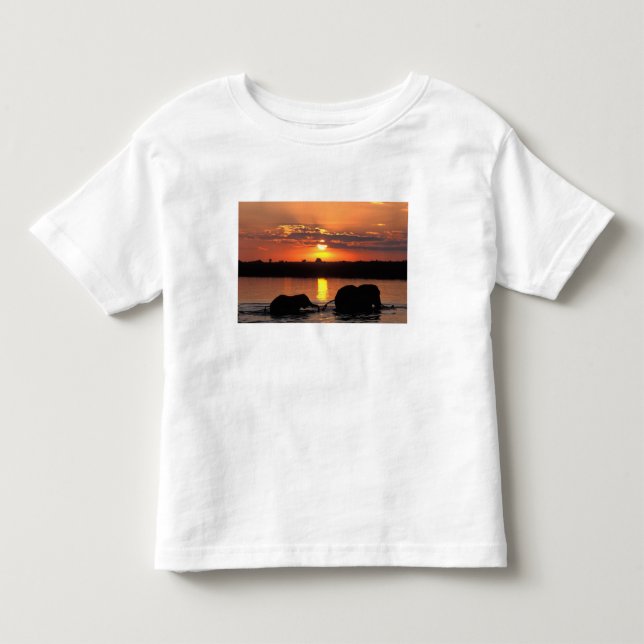 T-shirts África, Botsuana, Parque Nacional Chobe, Manada (Frente)