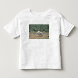 T-shirts África do Sul, Parque Nacional Addo Elephant. Bebê