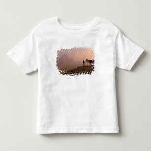 T-shirts África, Egito, Cairo, Gizé, pirâmides de Gizé em
