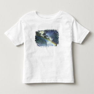T-shirts África, Etiópia, Rio Nilo Azul, Catarata.