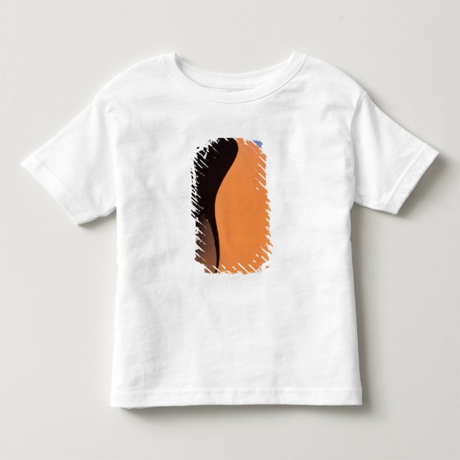 T-shirts África, Namíbia, Luz da tarde nas dunas, (Frente)