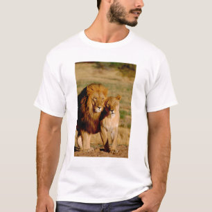 T-shirts África, Namíbia, Okonjima. Leão & leoa