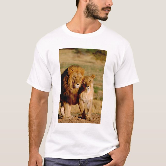 T-shirts África, Namíbia, Okonjima. Leão & leoa (Frente)