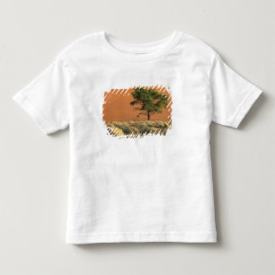 T-shirts África, Namíbia, Parque Nacional do Namibe, Sossus