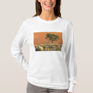 T-shirts África, Namíbia, Parque Nacional do Namibe, Sossus