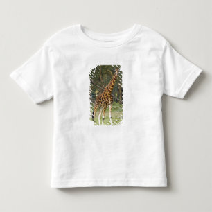 T-shirts África. Quênia. Girafa de Rothschild no lago 2