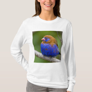 T-shirts África. Quênia. Grenadier Roxo
