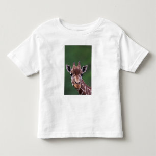 T-shirts África, Quênia, Impala Ranch. Reticulada
