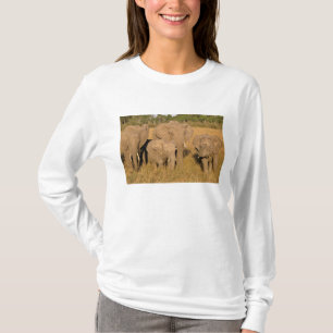 T-shirts África, Quênia, Masai Mara. Elefante-africano