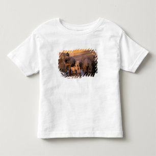 T-shirts África, Quênia, Masai Mara. Elefantes (Loxodonta