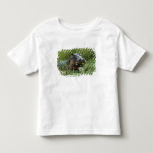 T-shirts África, Quênia, Masai Mara NR. Uma hipopótamo mãe