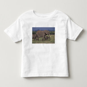 T-shirts África, Quênia, Parque Nacional de Amboseli. Afric