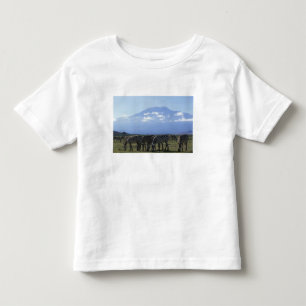 T-shirts África, Quênia, Parque Nacional de Amboseli, Manad