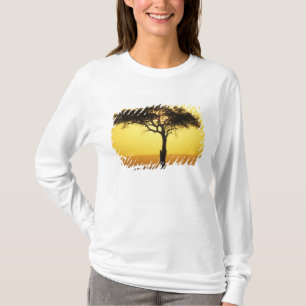 T-shirts África, Quênia, Reserva de Caça Masai Mara, Nascen