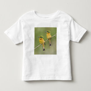 T-shirts África. Tanzânia. Abelharinhos-comuns em Manyara