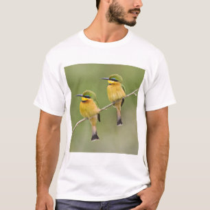 T-shirts África. Tanzânia. Abelharinhos em Manyara
