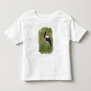 T-shirts África. Tanzânia. Cegonha-de-bico-vermelho macho