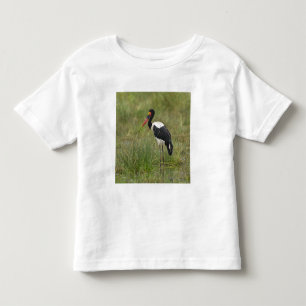 T-shirts África. Tanzânia. Cegonha-senhora-de-sela macho
