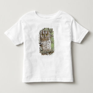 T-shirts África. Tanzânia. Corujinha-africana em Tarangire