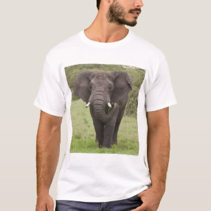 T-shirts África Tanzânia Elefante na Cratera de Ngorongoro