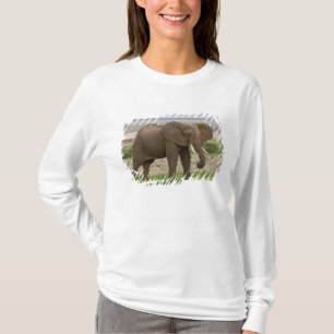 T-shirts África. Tanzânia. Elefante no Parque Nacional do L