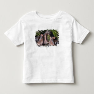 T-shirts África. Tanzânia. Hipopótamo esgrimindo