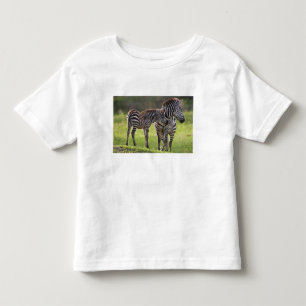 T-shirts África. Tanzânia. Mãe Zebra comum e bebê
