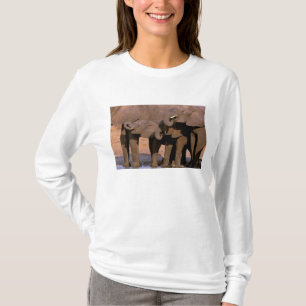 T-shirts África, Tanzânia, Parque Nacional de Tarangire.